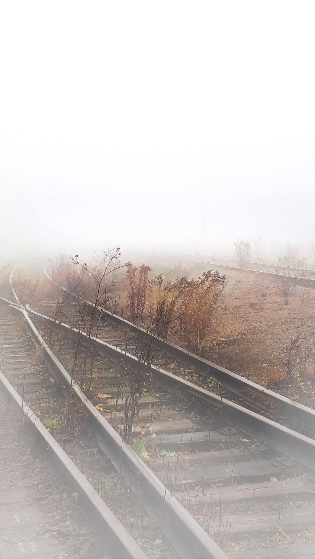 Дорога в будущее cheltsovaphoto lisphoto mobilephoto industrial moscow фотозарисовка рельсы туман