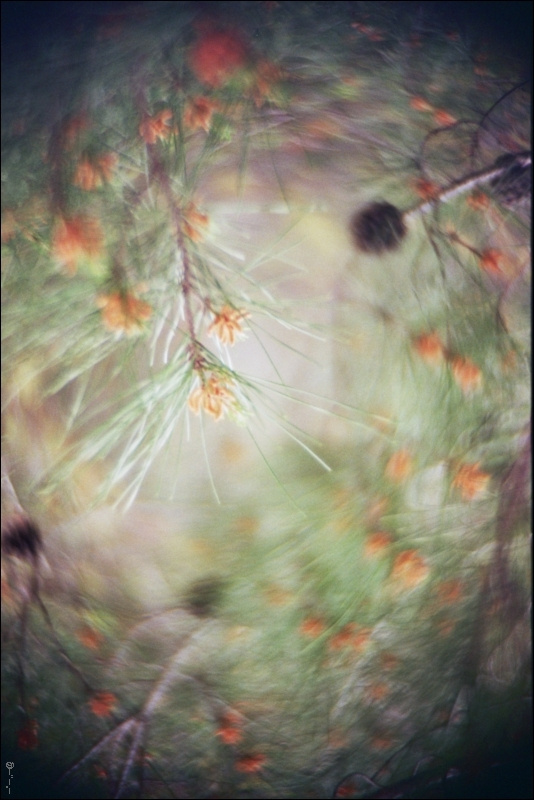 *** _twirlings_
