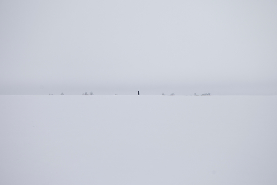 Один в поле поле, пейзаж, зима