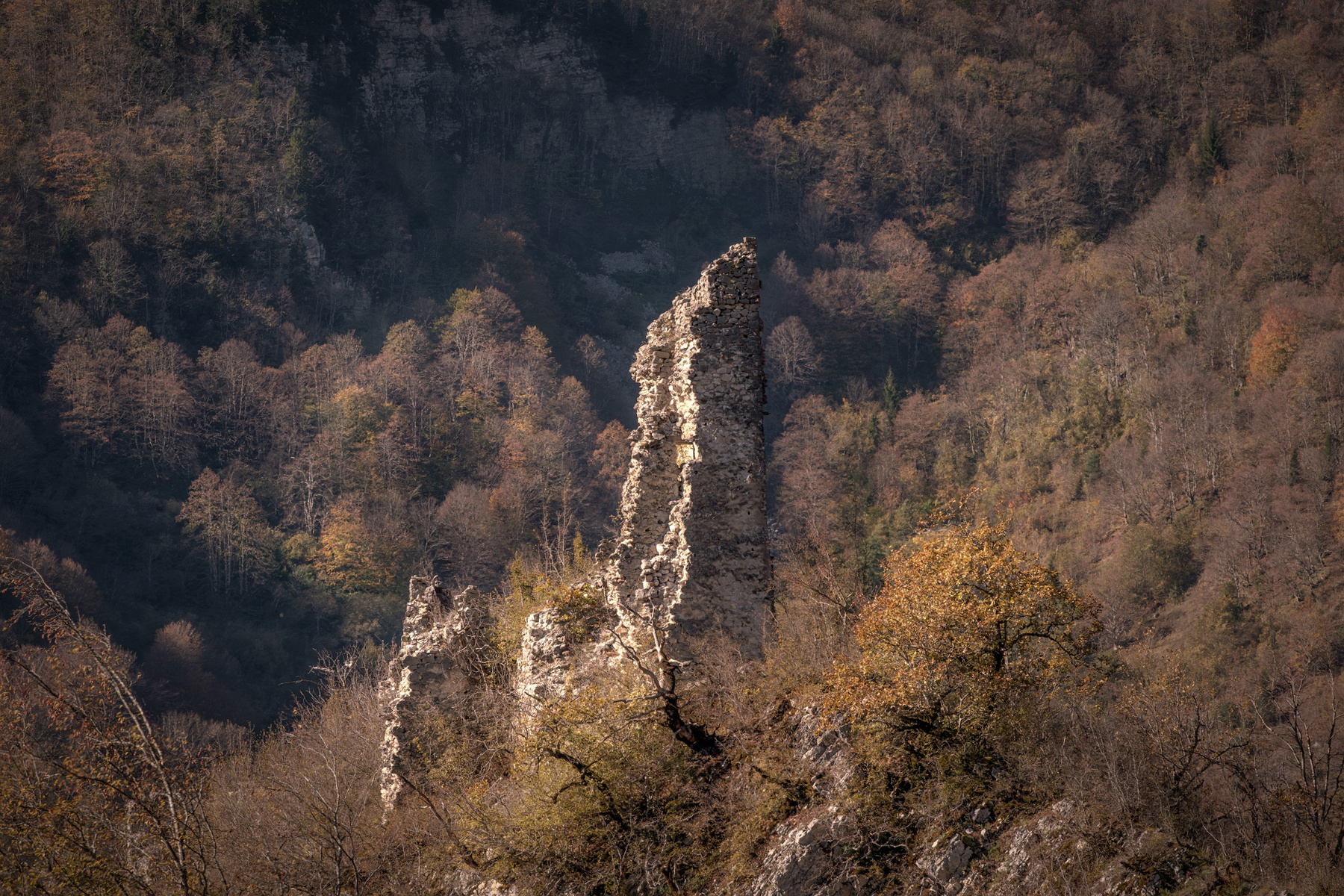 Ruins Of Muri Fortress muri fortress ruins mountains autumn trees nature landscape scenery travel outdoors georgia svaneti racha sakartvelo chizh