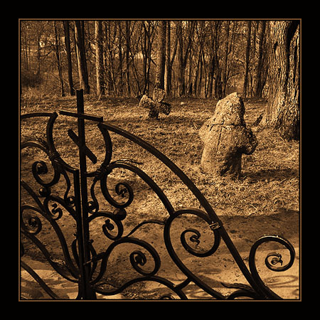 Tranquillity Пушгоры