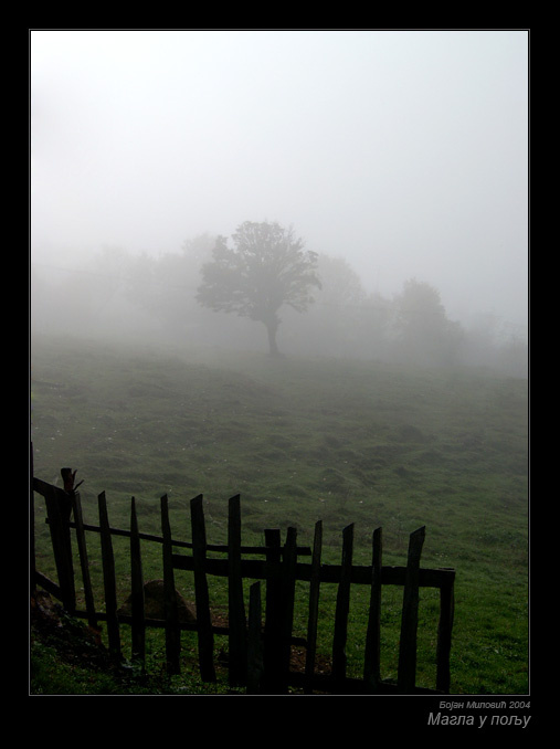 Магла у пољу [Fog in field] Bojan Milovic