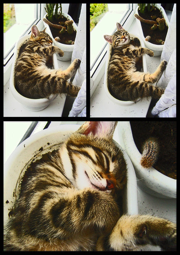 Sleep sleep