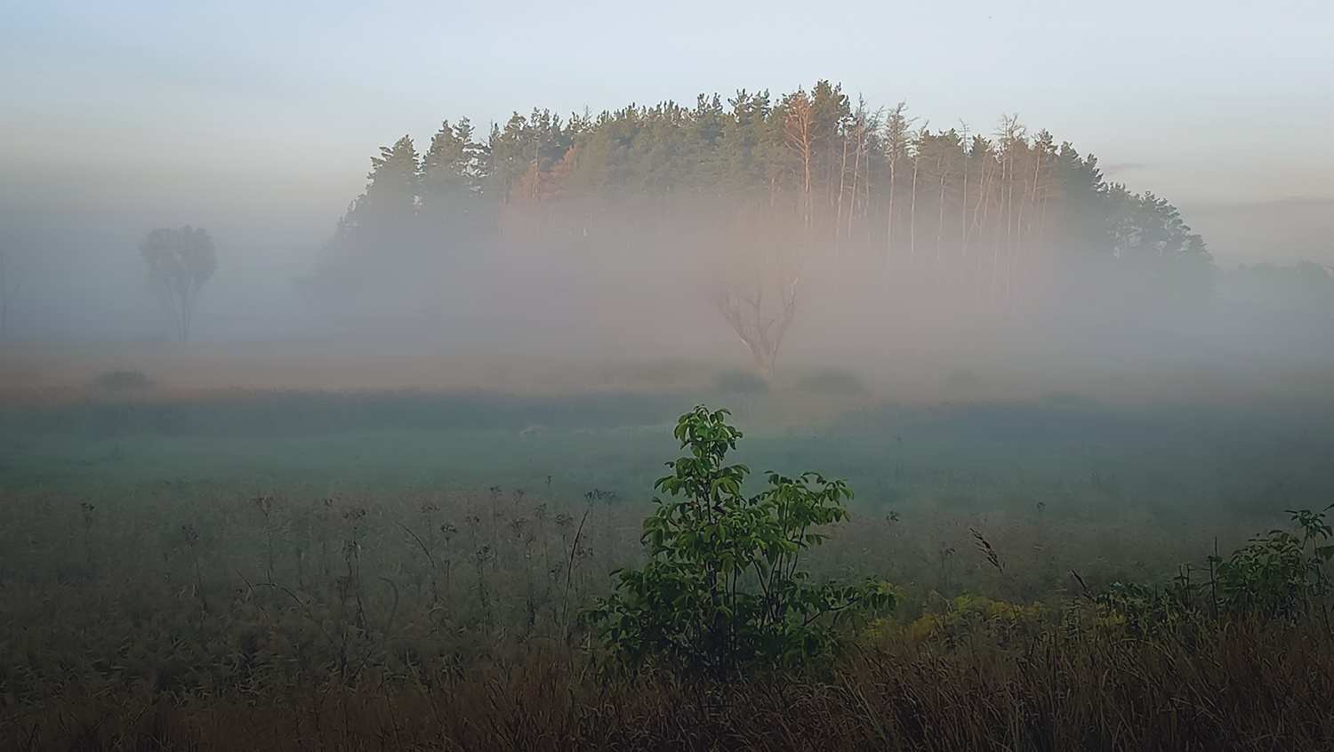 *** осень