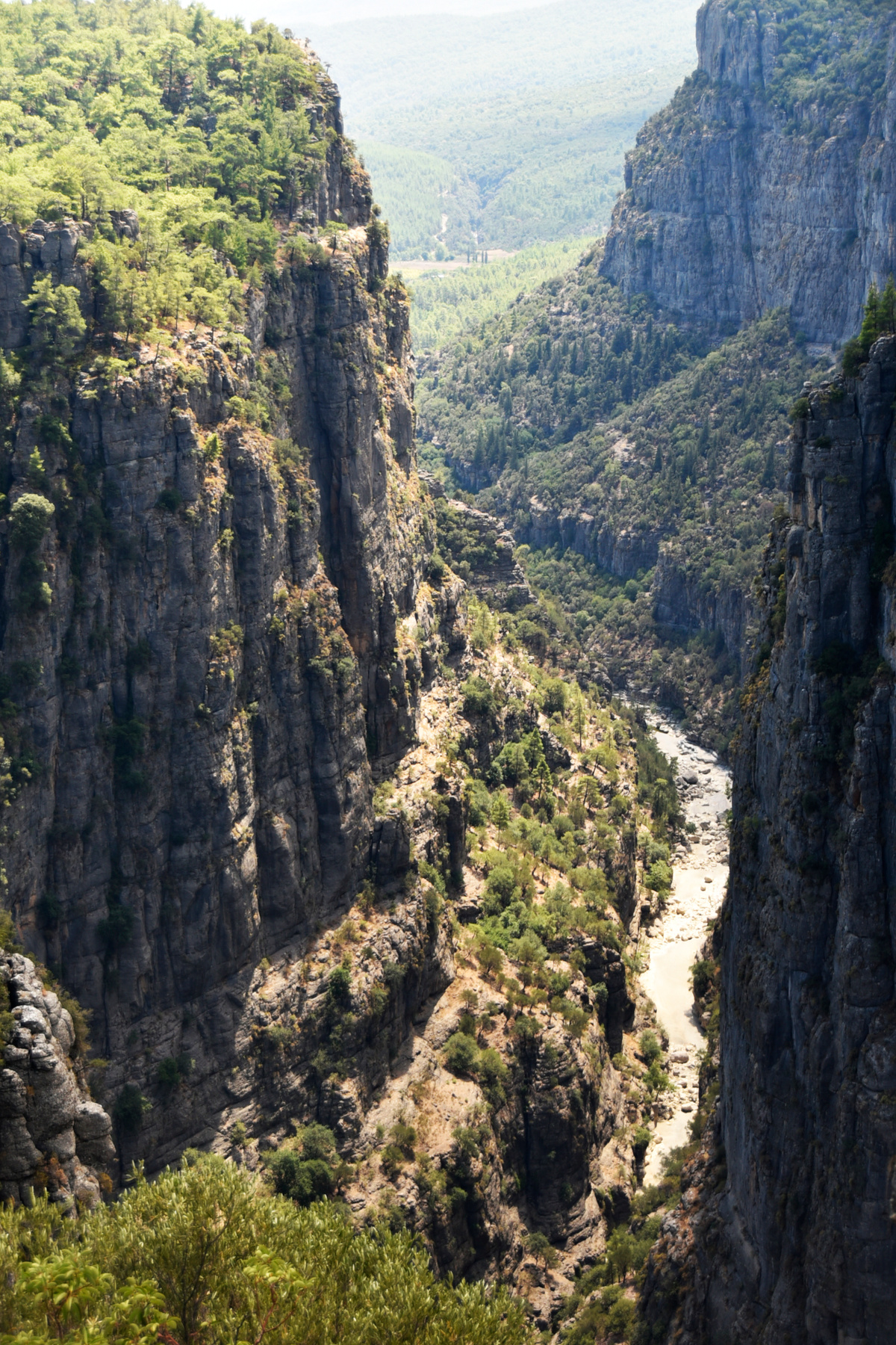 tazi canyon 