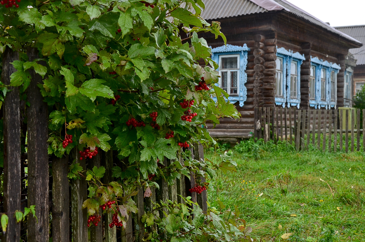 Под дождем 