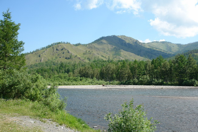 Р. Сыя 