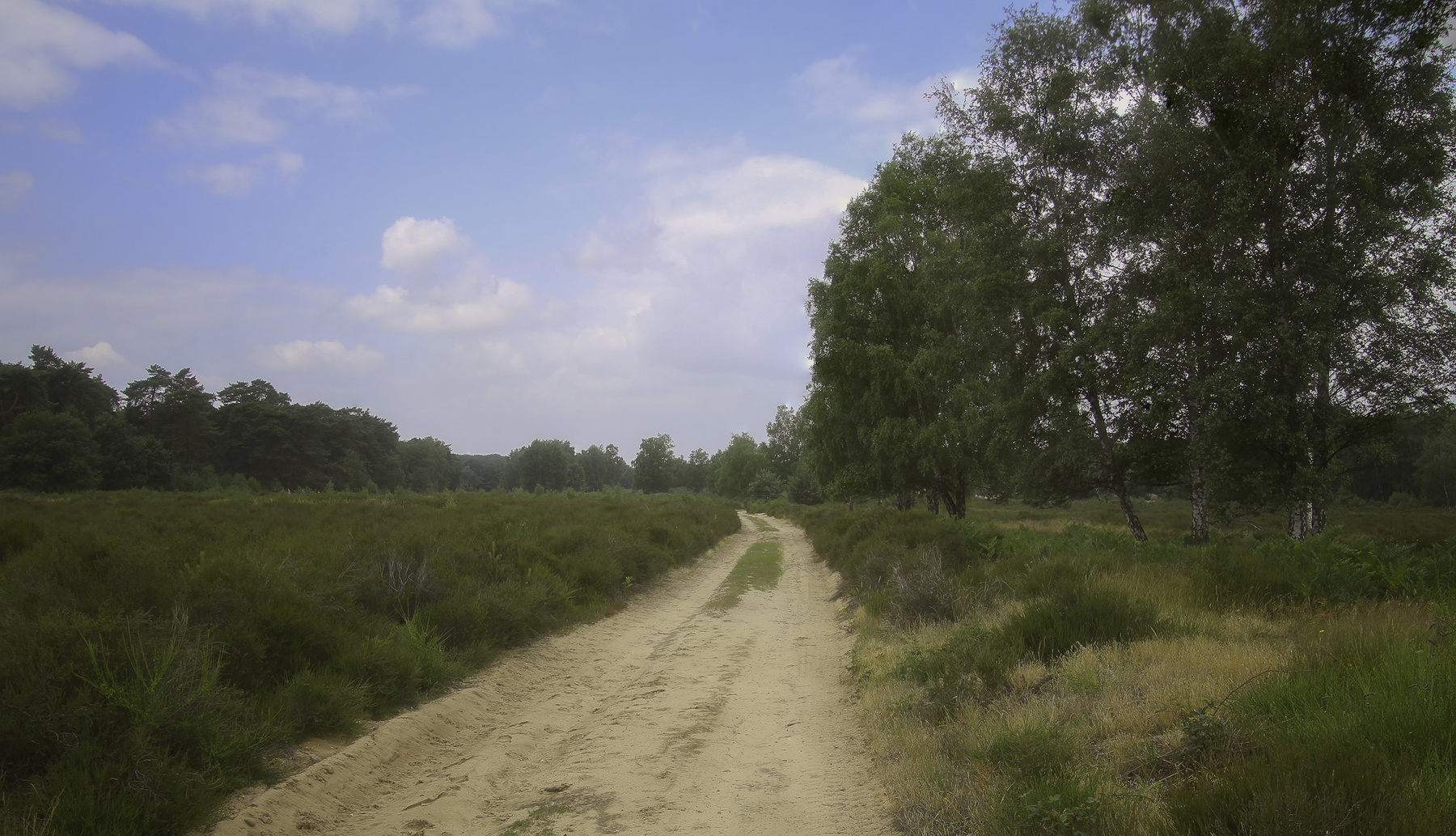 Дорога 