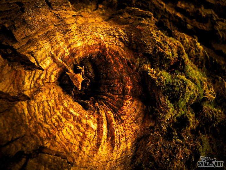 Natural Gold (Dzen sc. #3) 
