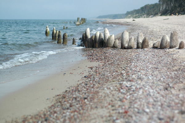 33 богатыря Море, Куршская коса