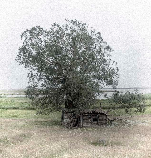 Сила времени 