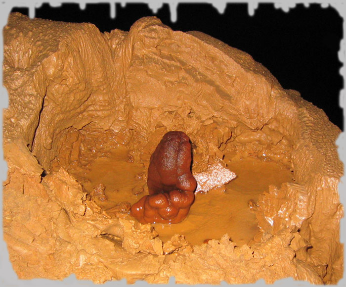 Excrementional Stalagmit stalagmit cave underground