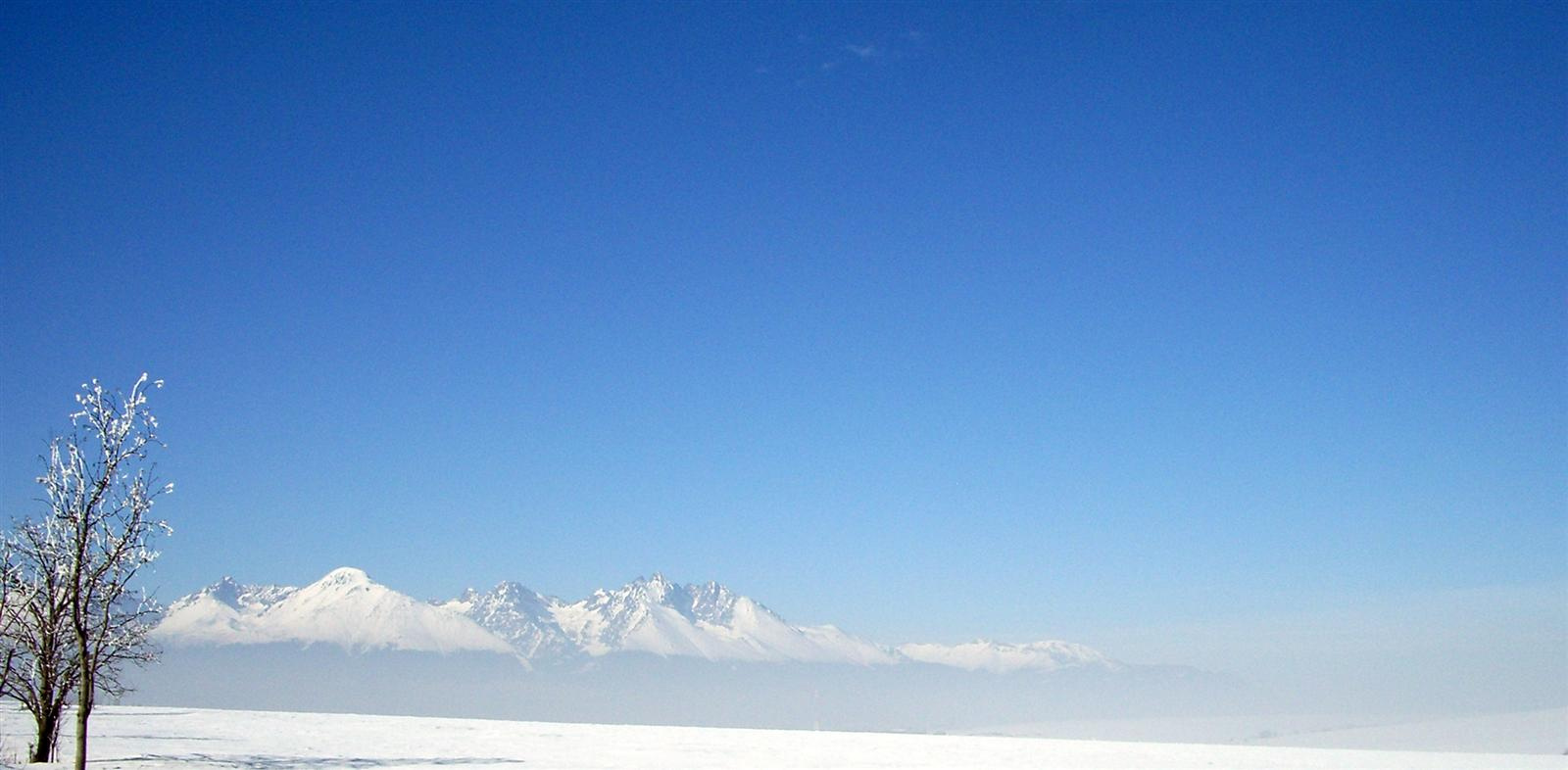 Пейзаж с горами, небом и деревом пейзаж небо горы