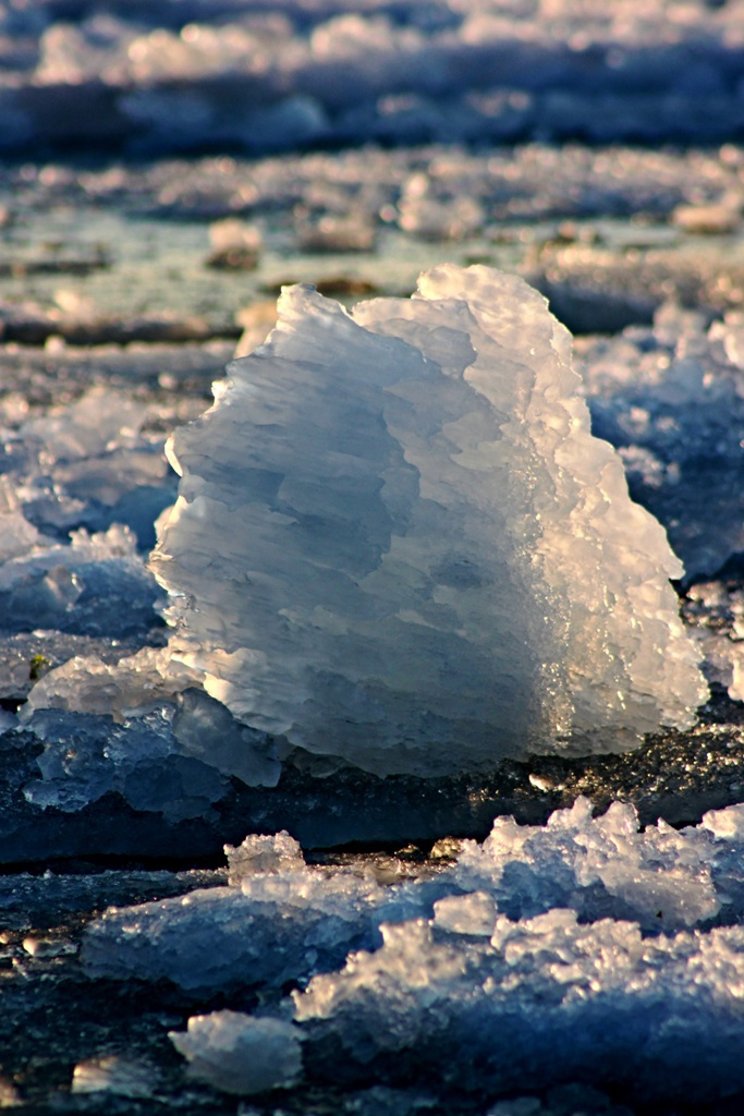 Весенний лёд + весна, лёд, море, владивосток