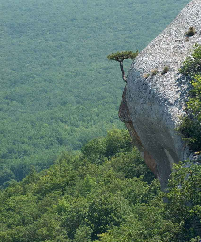 На краю 
