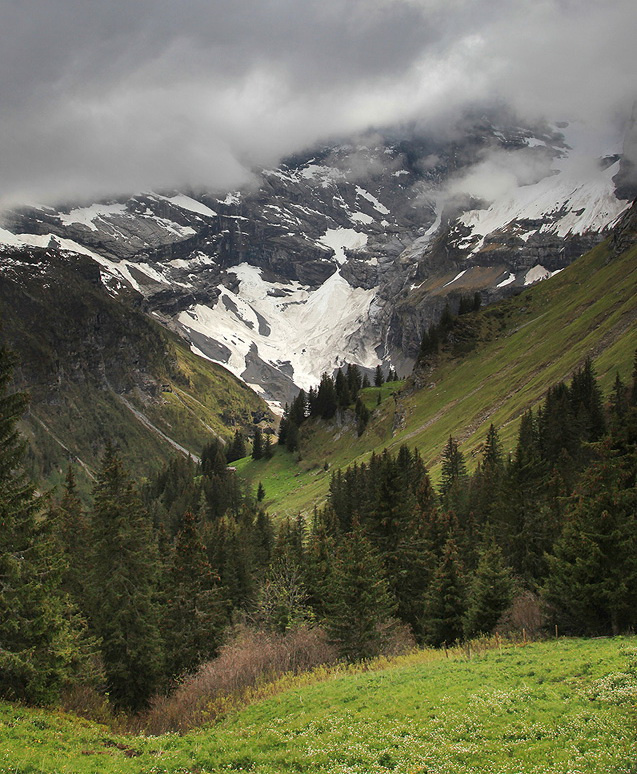 Swiss Alps 