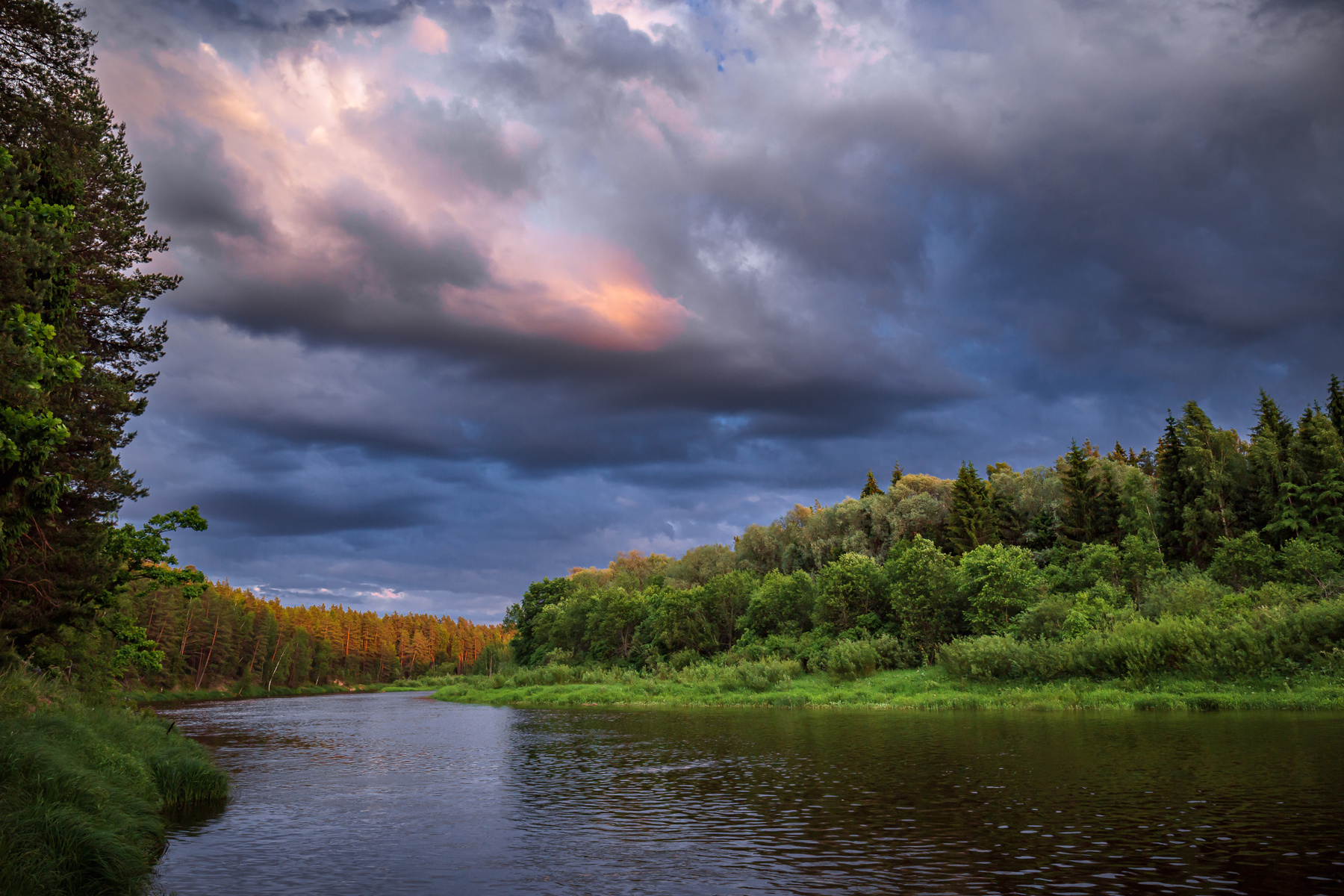 р. Gauja 