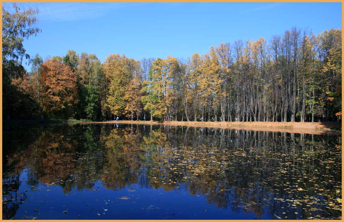 Осенняя Осень, пруд, листва