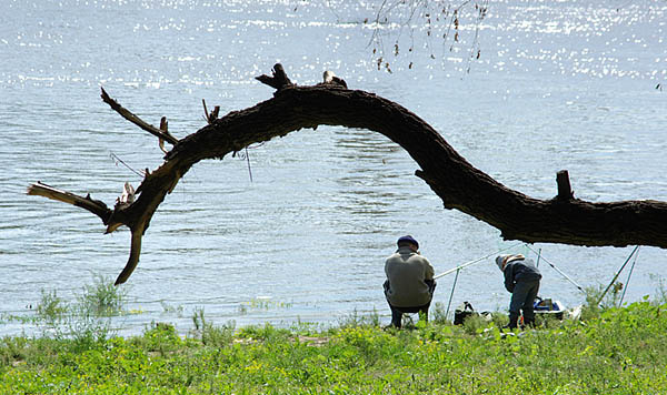 Рыбаки река, рыбалка