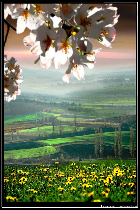 7 aprelia landscape