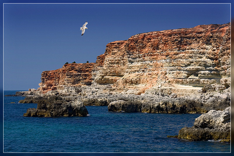 Голубая бухта. Море. Лето. Бухта