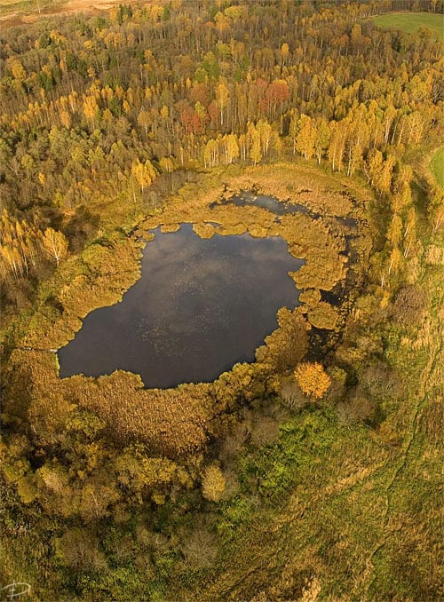 Осень в небе маи дурыкино осень параплан