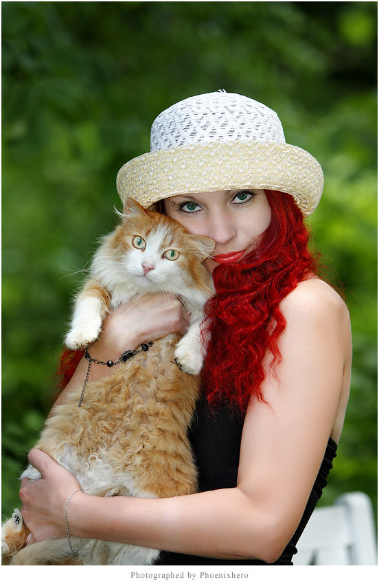About red cats кошки, рыжие red cats