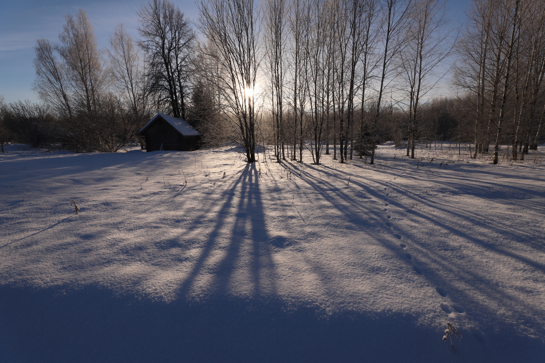 Морозно 