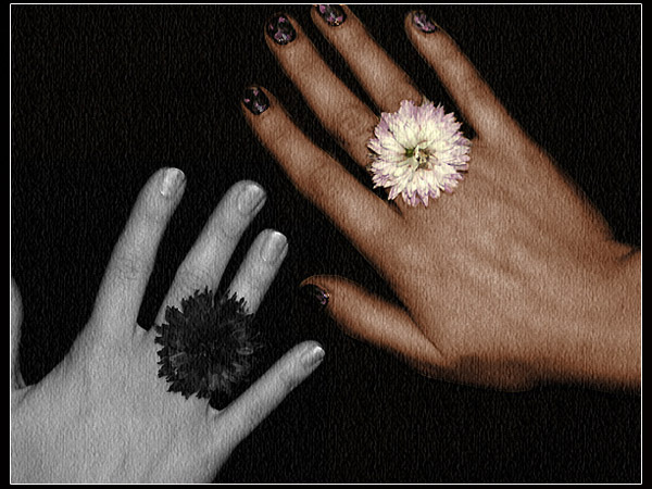Hands 