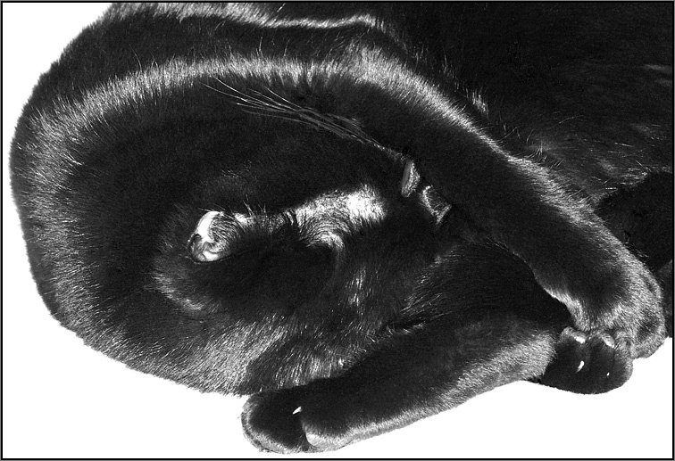 Deepy Sleepy 