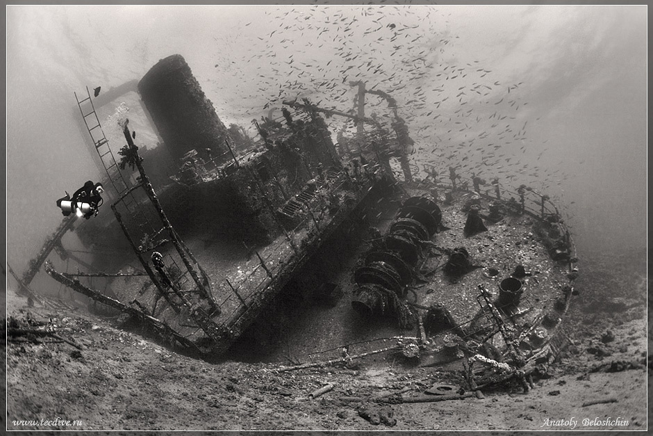 *** Giannis D Abu Nuhas Red Sea Anatoly Beloshchin