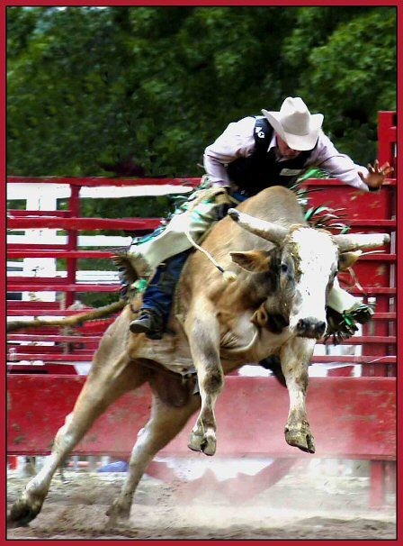 rodeo 