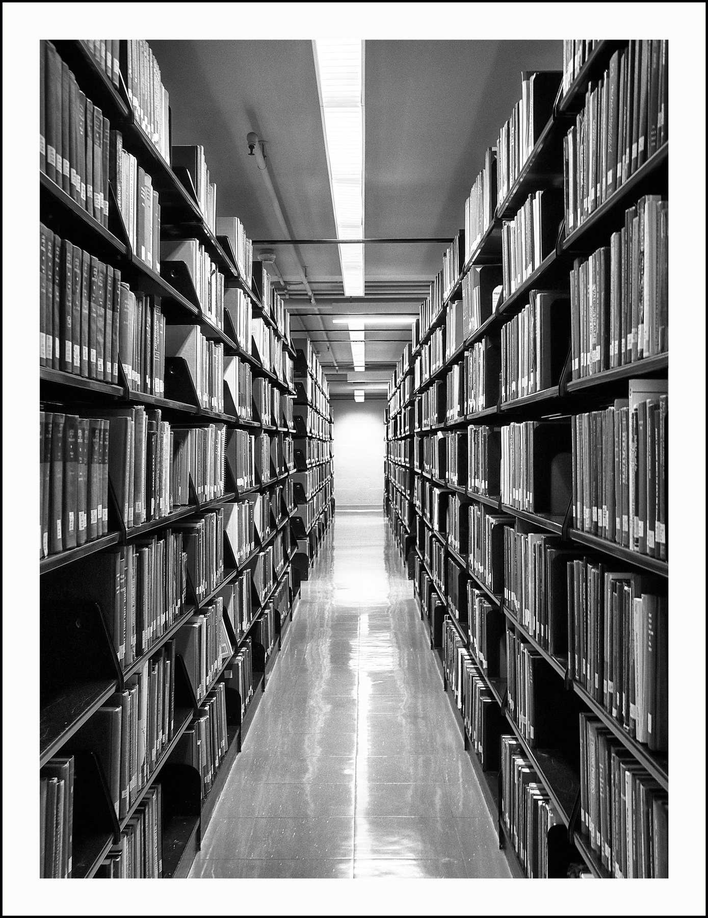 Library Shelves 