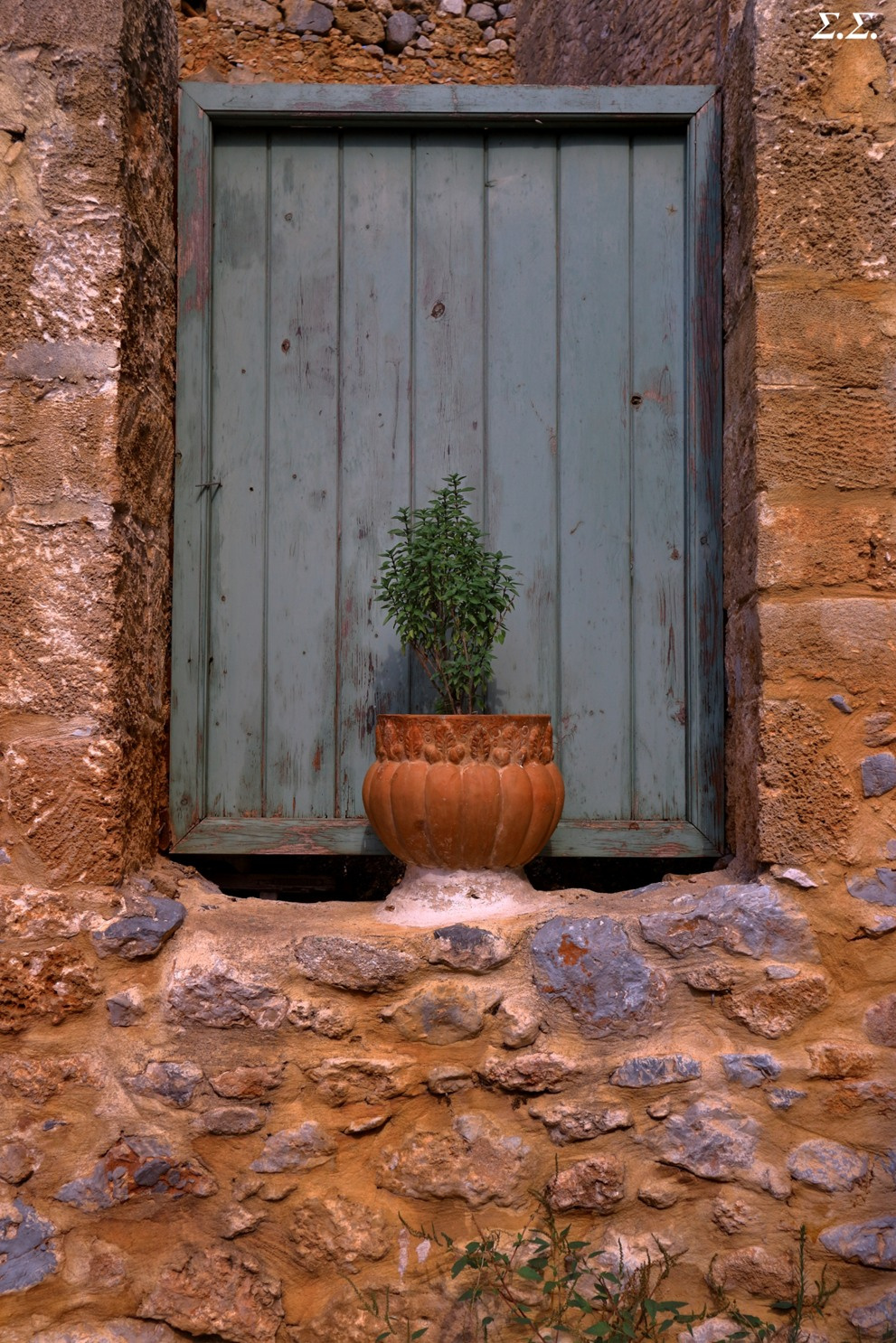 PLANTED POT AT A WINDOW 