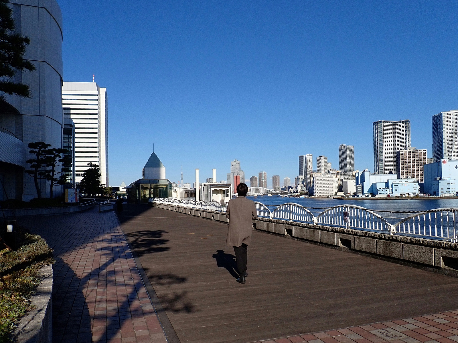 Прогулка у Токийского залива Tokyo Bay Tokyo Bay Токийский залив зима прохожий тени солнце свет здания
