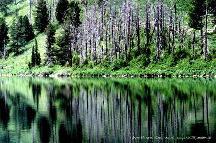 Красота отражение, озеро, природа, красота, горный алтай
