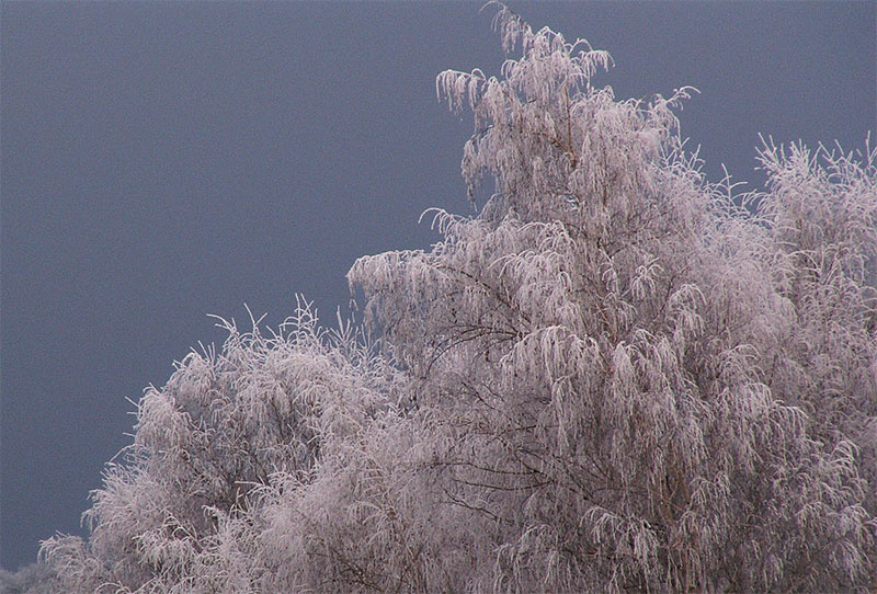 Зимний пезаж зима, снег