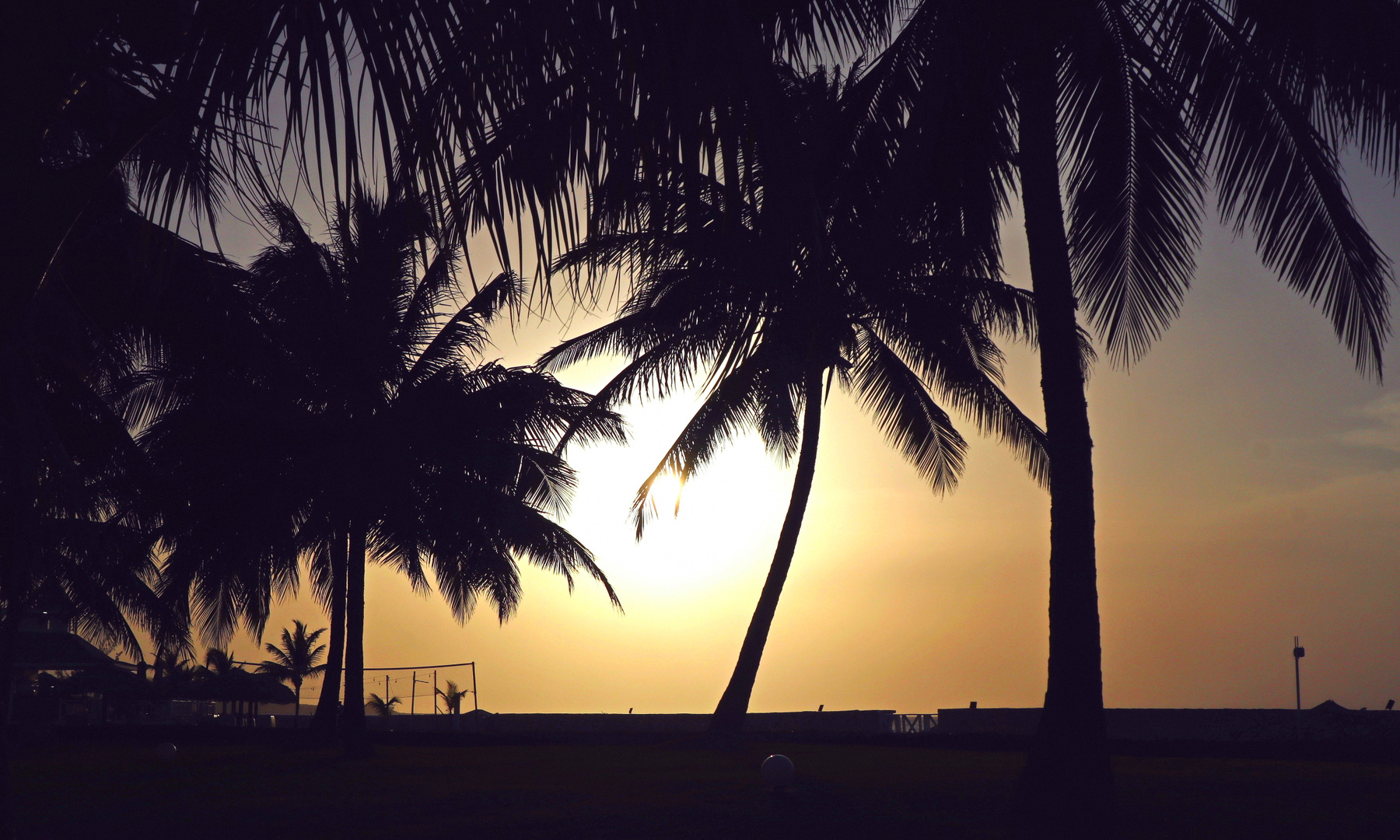 Caribbean Sunset tropical beach caribbean sunset