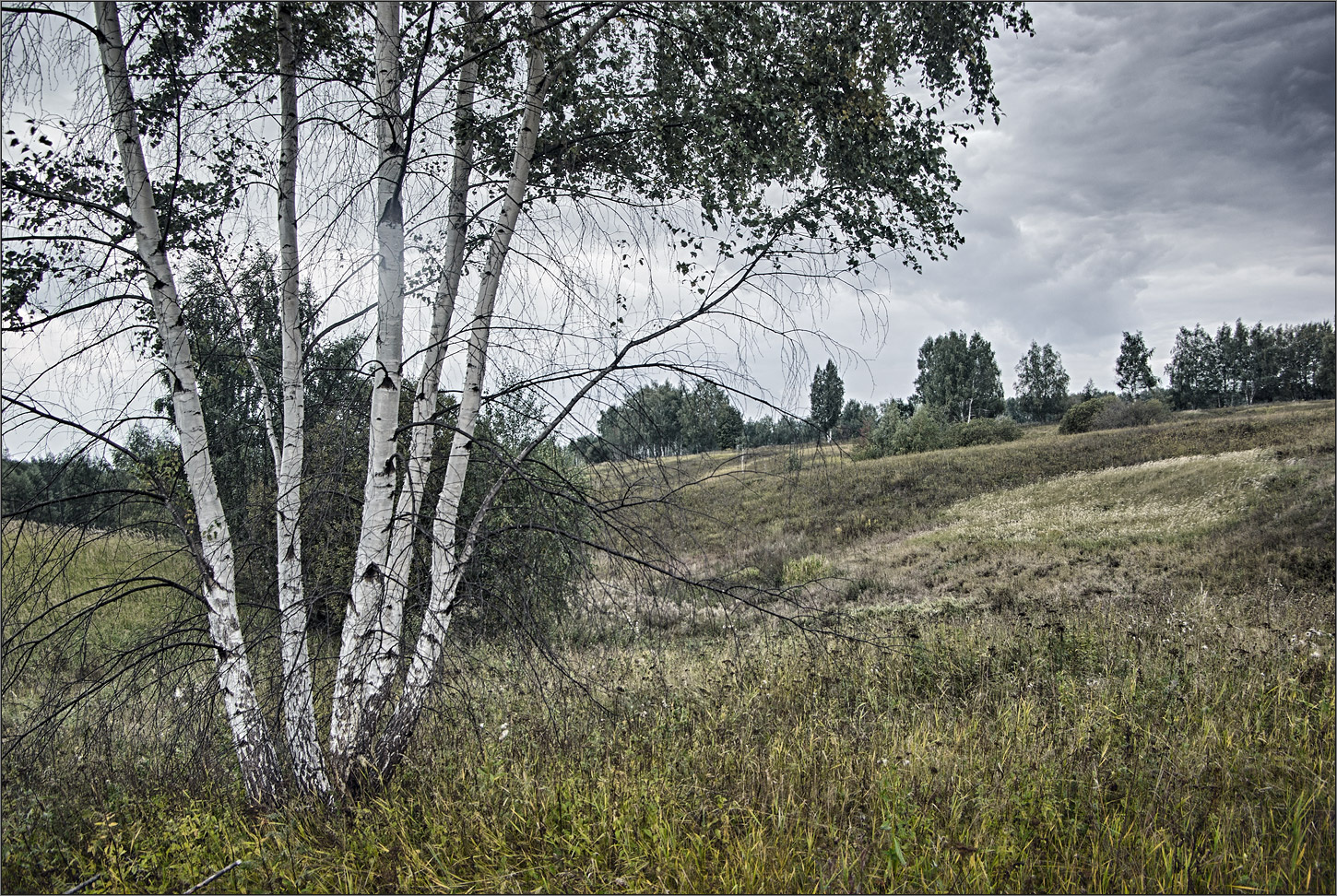 *** 