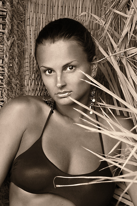 from tropical paradise 