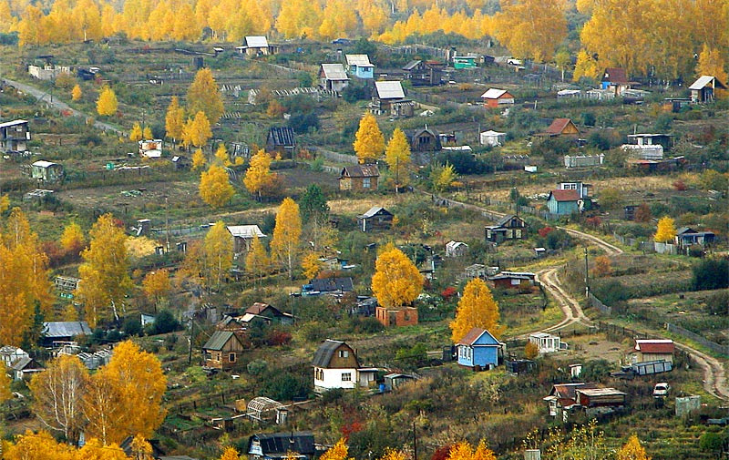 Садово-огородный пейзаж или об одной из составляющих счастья советского человека дача сад огород осень