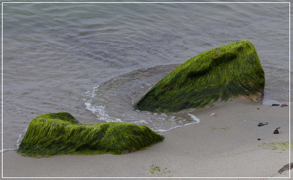 На морском берегу 