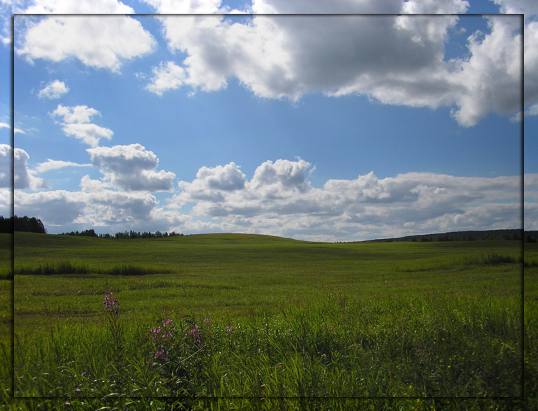 Вот истинный Windows XP Windows XP поле природа облака небо