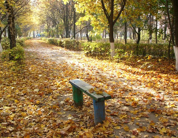 Осень город осень