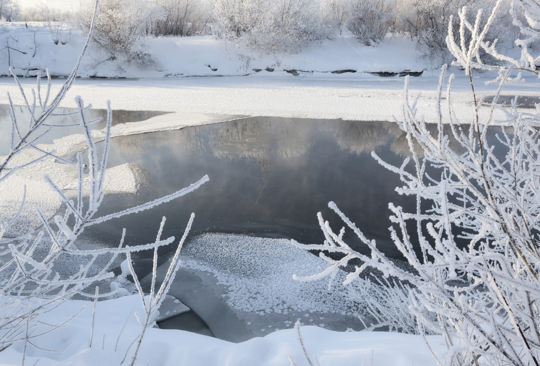 Морозная рамочка Снег речка вода лед кусты иней зима мороз