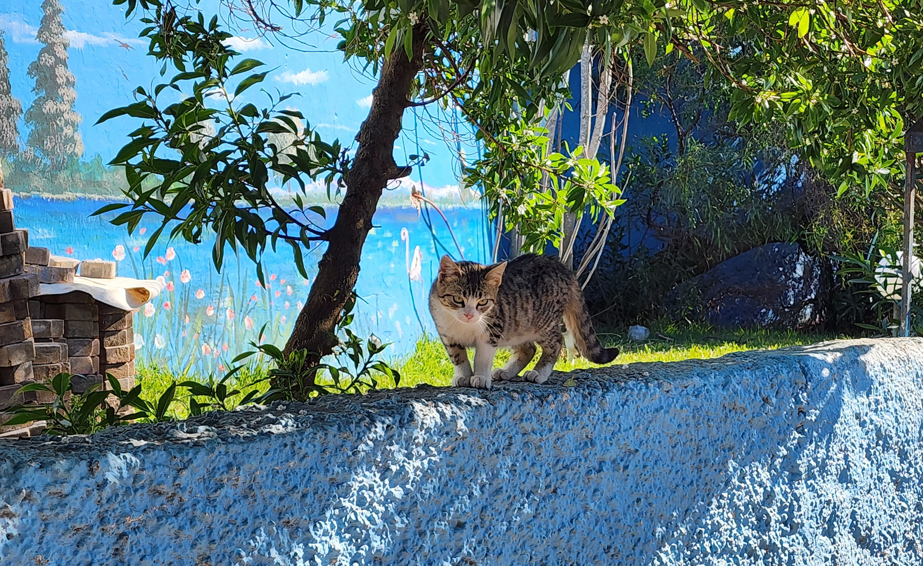 Котенок 