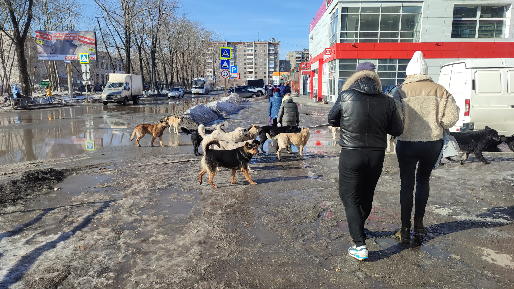 Город 