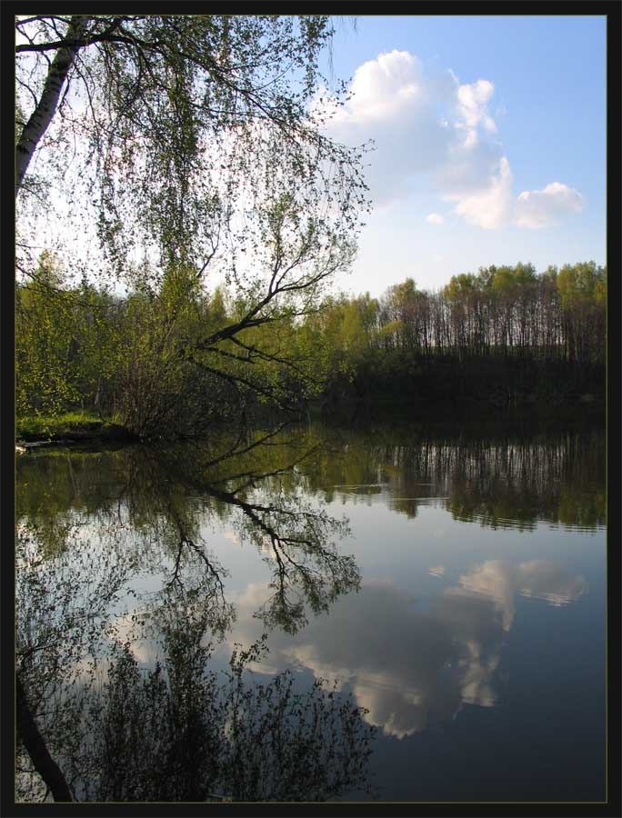 ~~~ природа