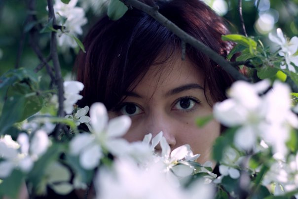 Blossom 