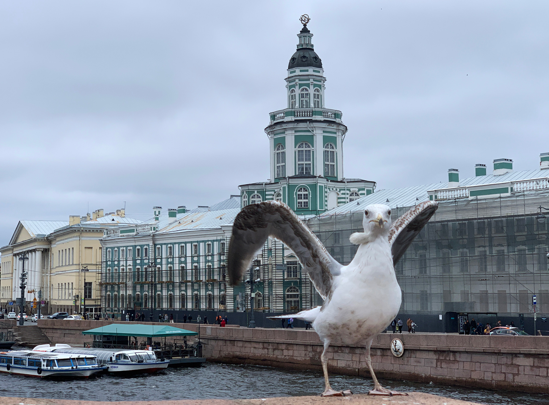 Я поступаю в СПбГУ! 